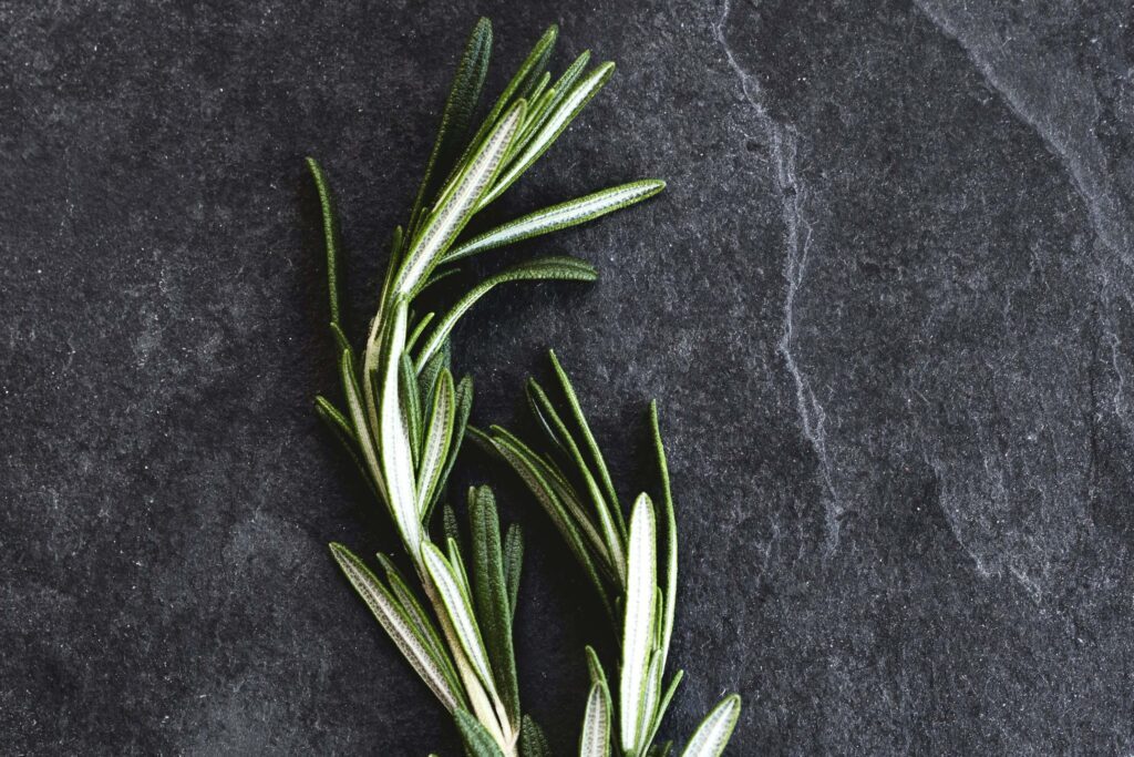 Rosemary