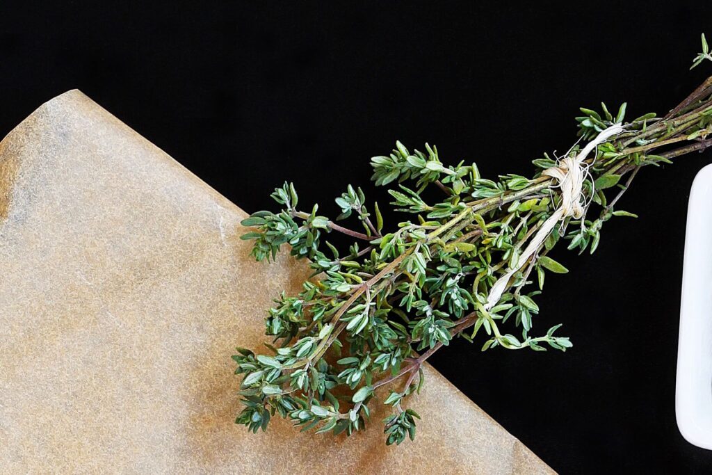 Thyme