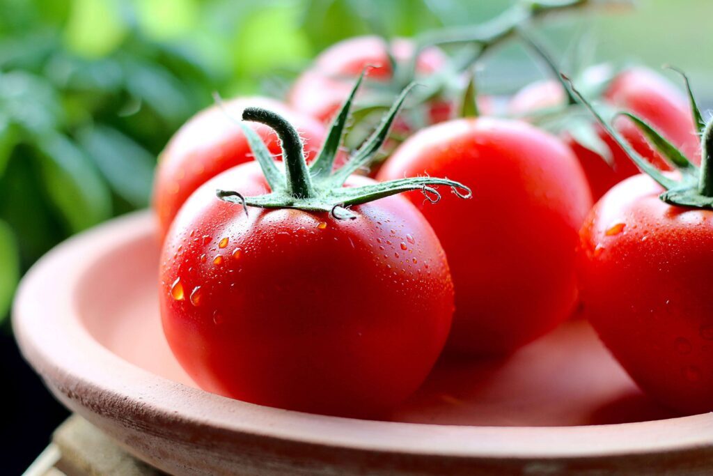 Tomatoes - Vegetable Gardening Tips