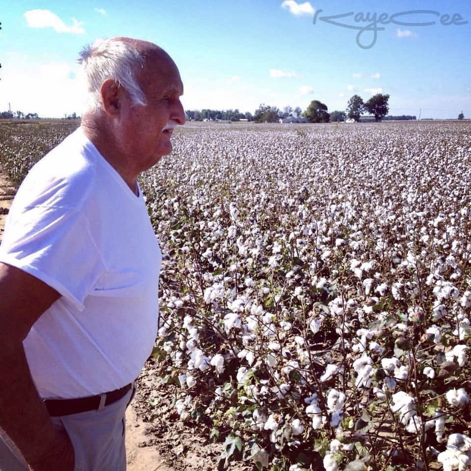 James Chambers checking his cotton field in Arkansas